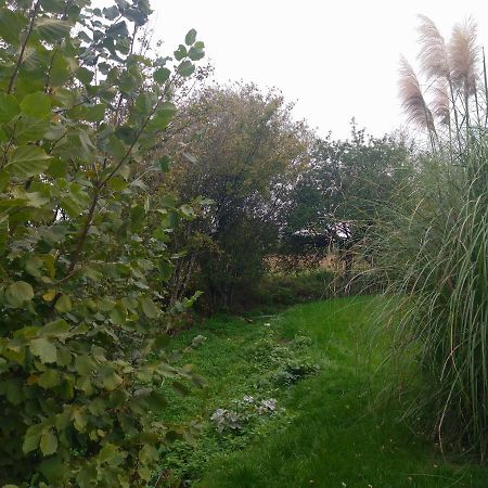Gite De La Basse Roche Souge  Екстериор снимка